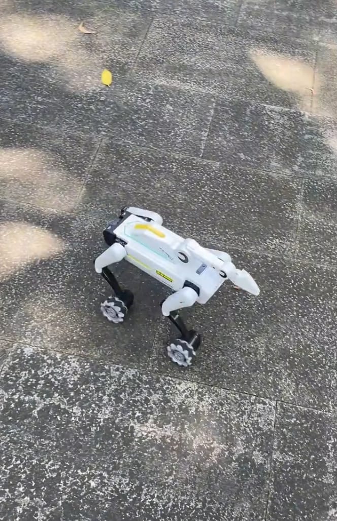 Customer photo review of 3-in-1 Interactive Robot Dog with Voice Control, Remote & Programmable Tricks