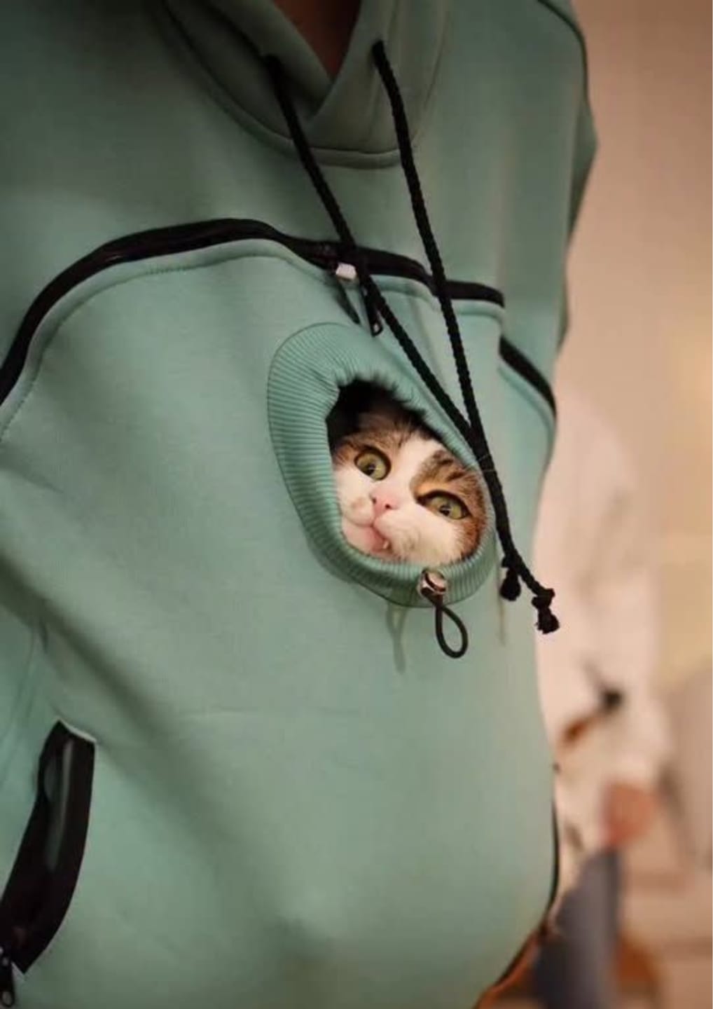 Customer photo review of Sungora™ Le Hoodie Minou