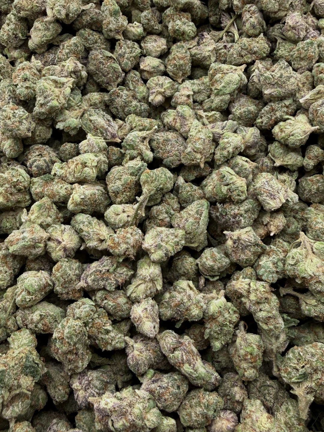 Customer photo review of Bulk Indoor THCA Smalls