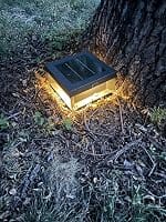 Customer photo review of RIRZ NOVA | Modern Wired Post Light