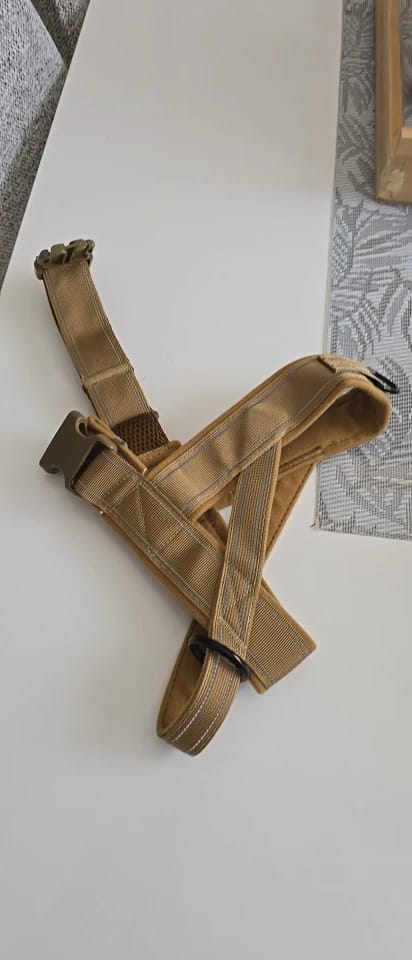 Customer photo review of Harnais anti-traction pour chien - KANINE