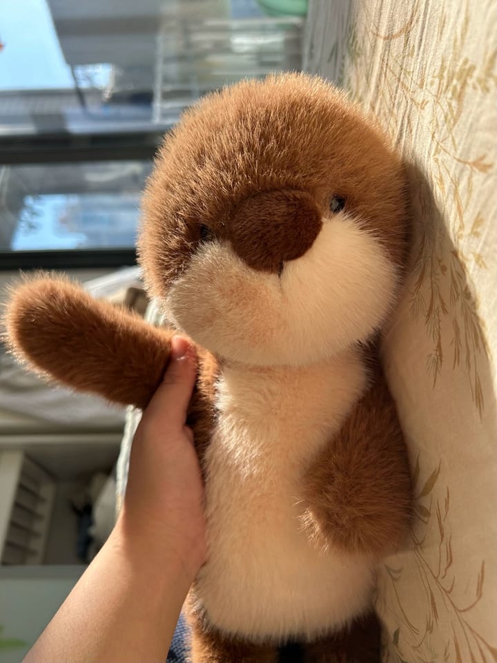 Customer photo review of Obi Otter
