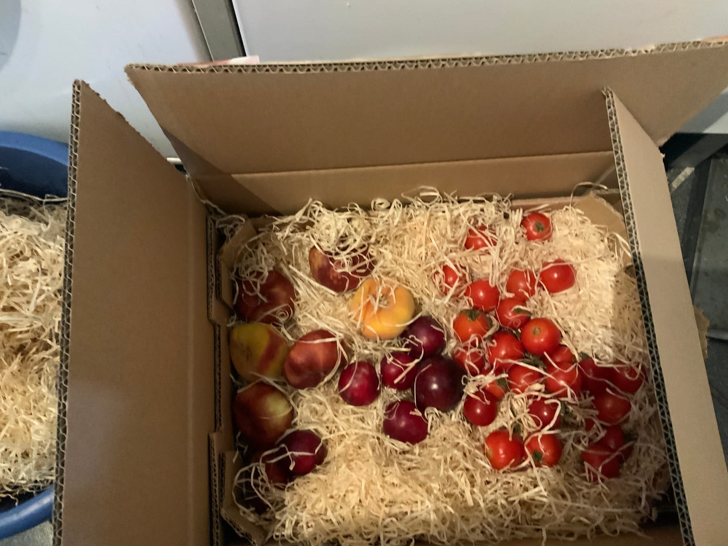 Customer photo review of Tomaten Cherry-Rispen rot Bio Sizilien AKTIONSPREIS