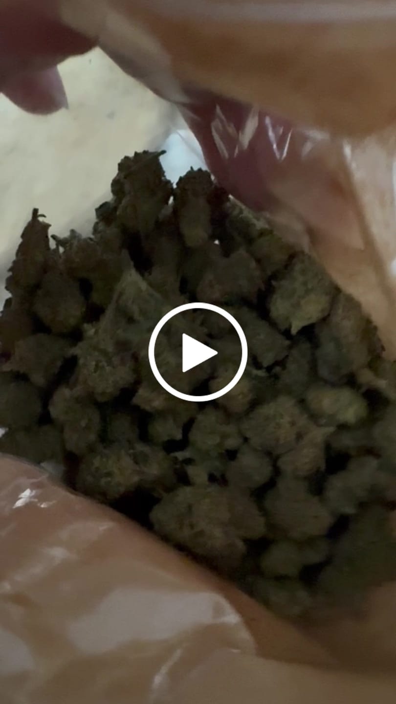 Customer video review of Super Silver Haze Popcorn