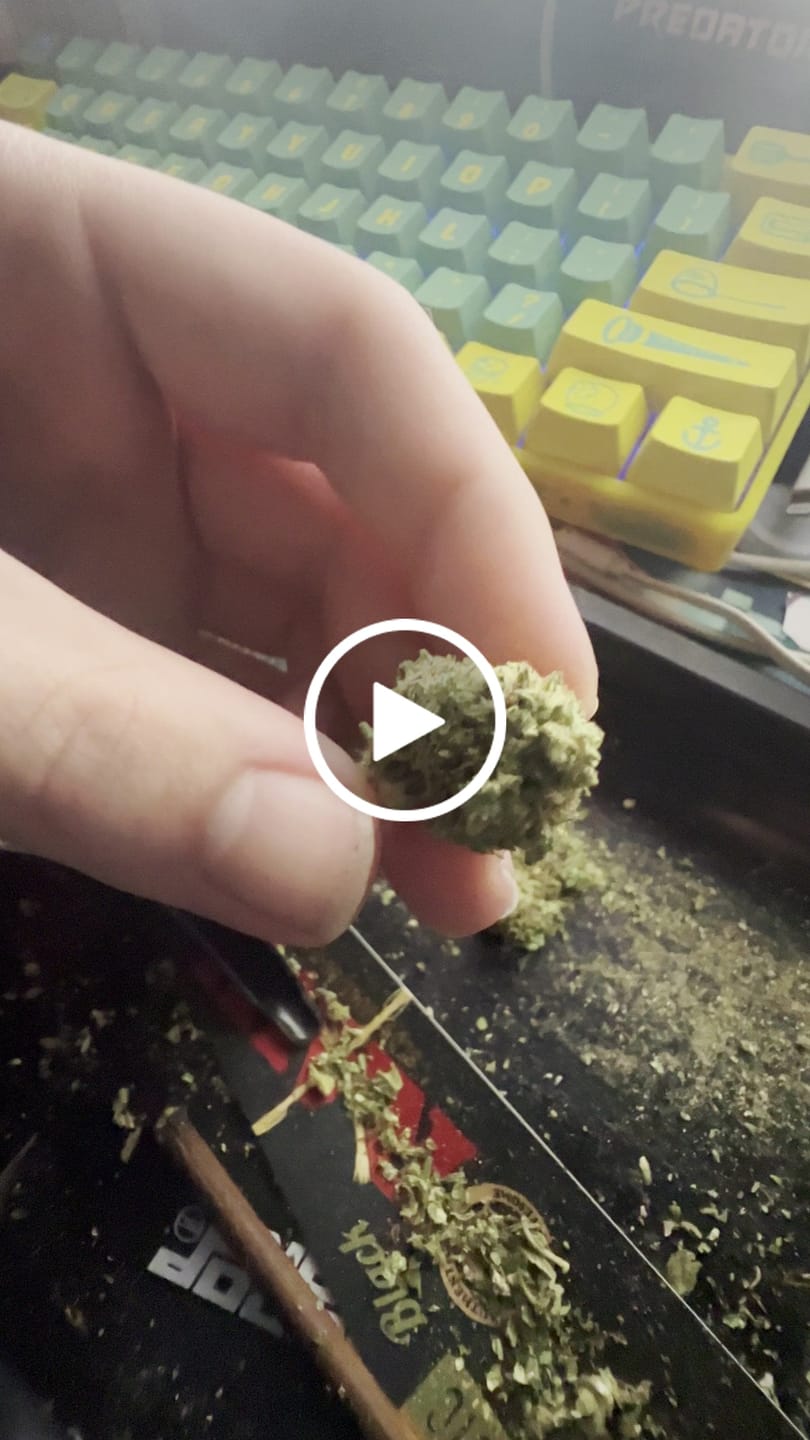 Customer video review of Greenhouse THCa Flower