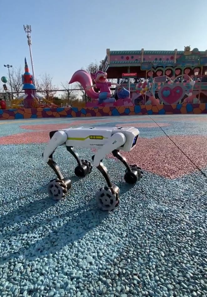 Customer photo review of 3-in-1 Interactive Robot Dog with Voice Control, Remote & Programmable Tricks