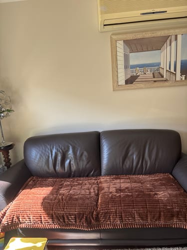 Customer photo review of Cosy Couch - Couch Cover