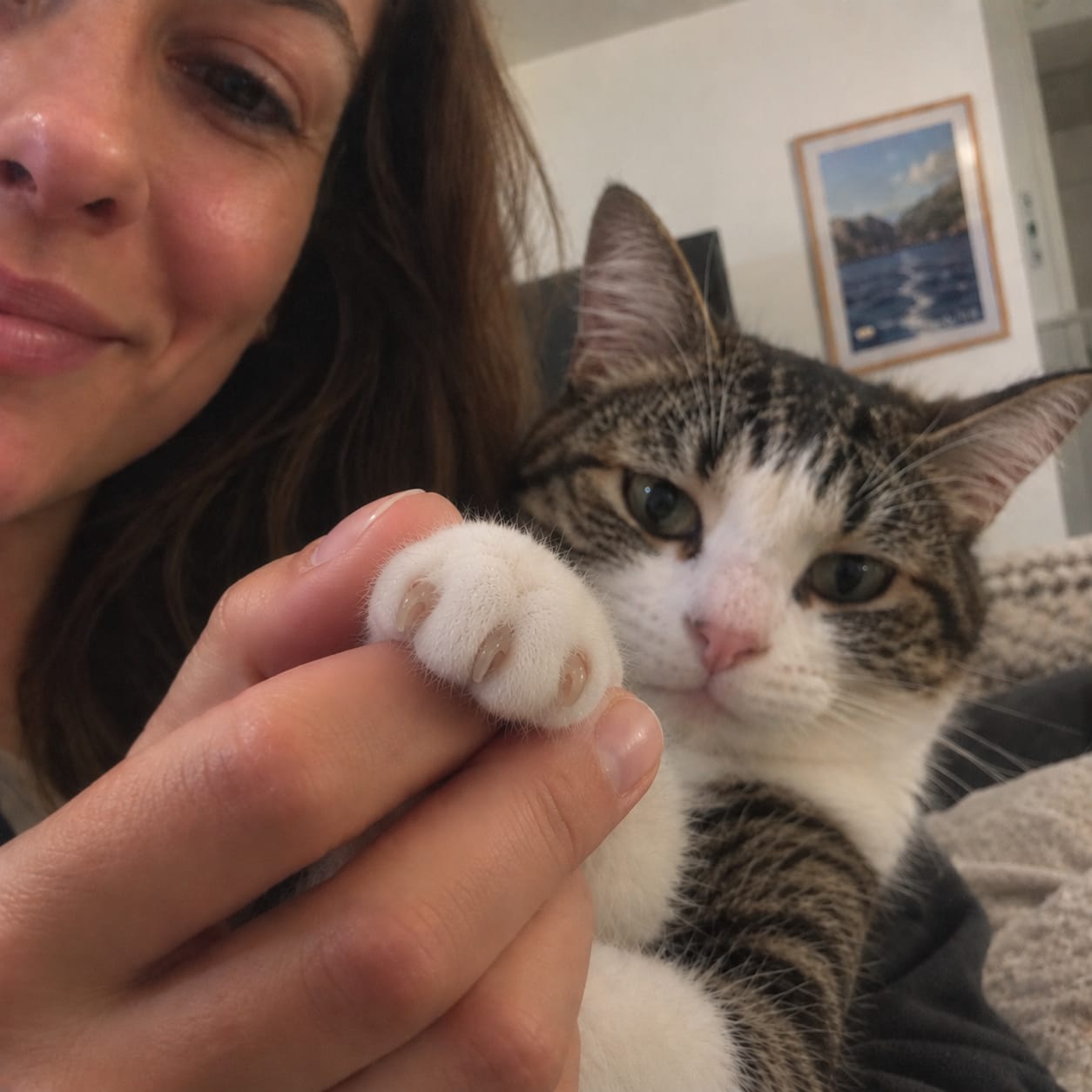Customer photo review of SoftPaw™ Claw Care Box