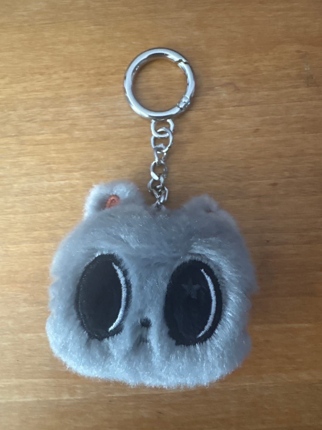 Customer photo review of TXT [PPULBATU FINDING MOA] Face Keyring