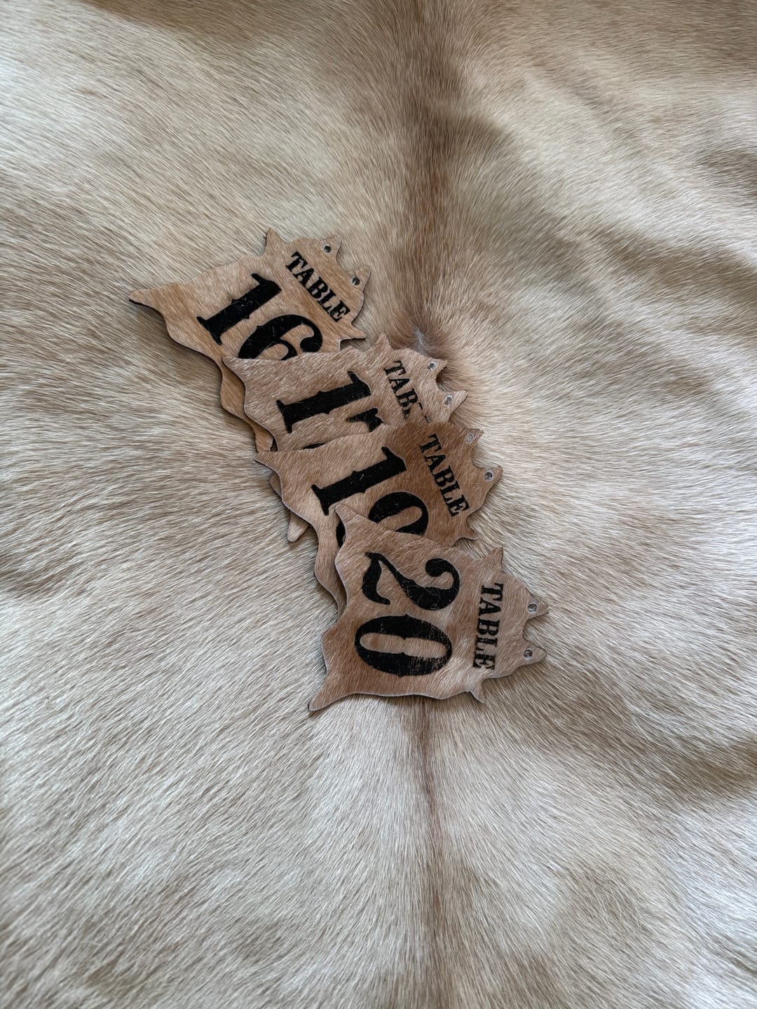 Customer photo review of SUPER SALE Light Brown Natural Cowhide Rug - X-Large 7' 2"H x 6' 5"W