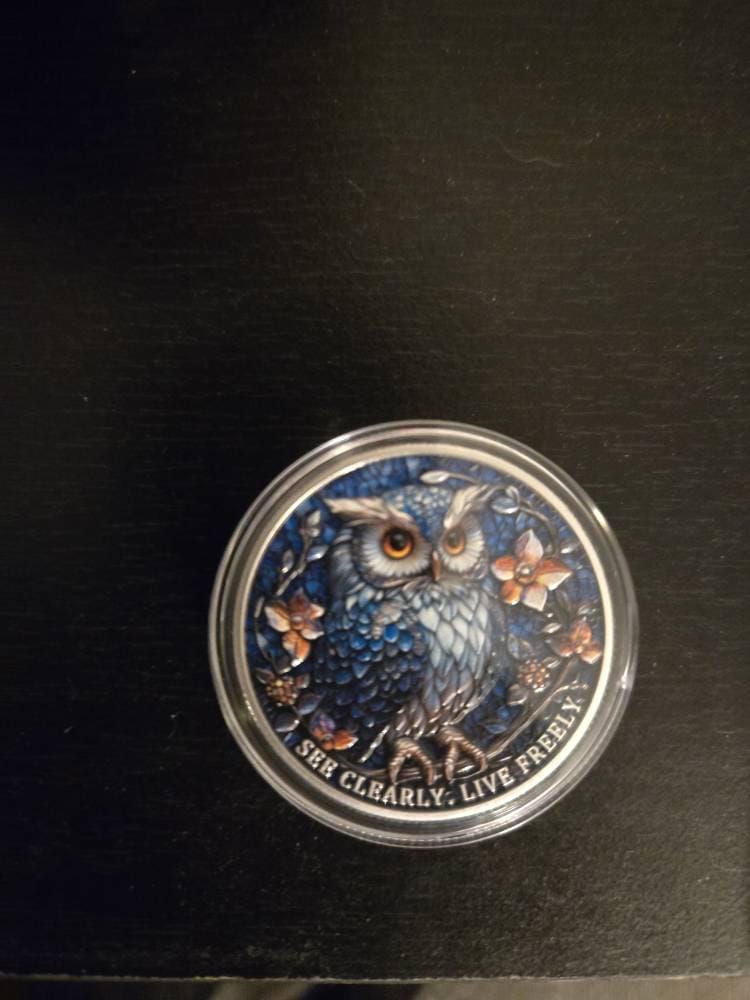 Customer photo review of Owl & Recovery Triangle Sobriety Coin – See Clearly