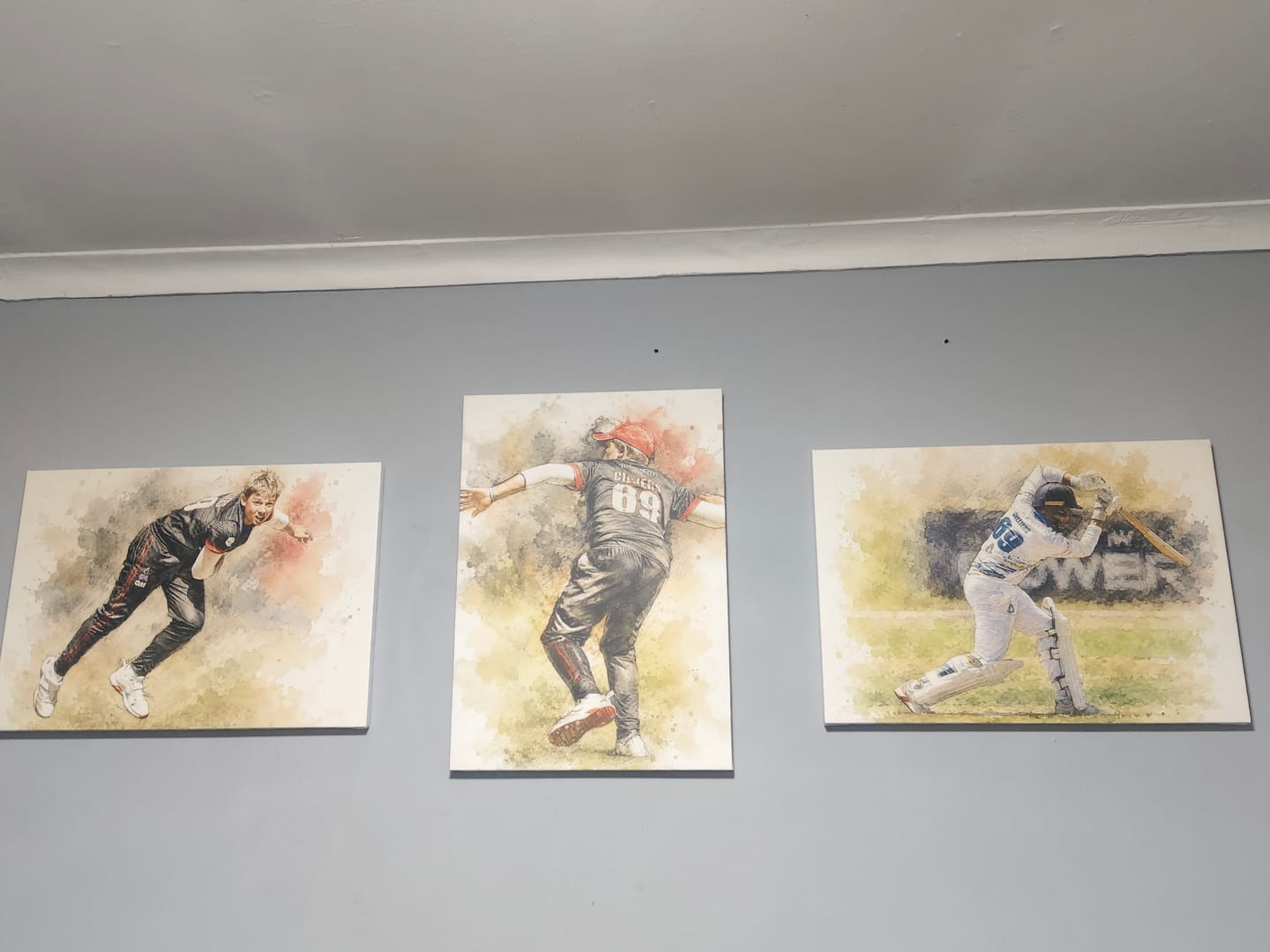 Customer photo review of 3 x A2 Canvas Combo