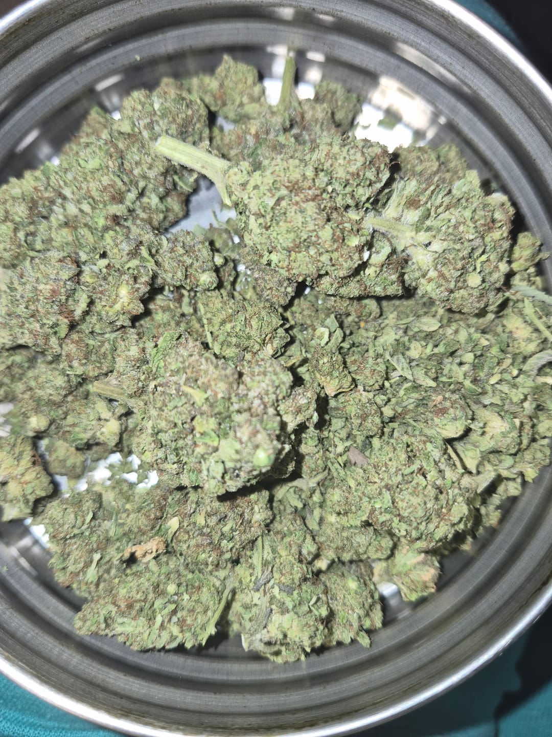 Customer photo review of Purple Lantz THCA Flower