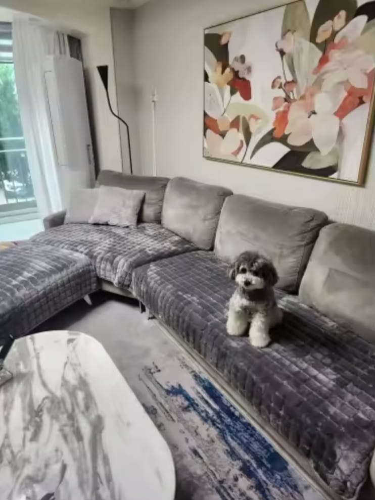 Customer photo review of pawandplush - Couch Cover