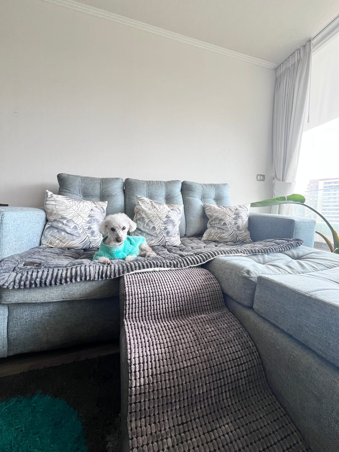 Customer photo review of Majestuoso · Protector Premium para Sofá