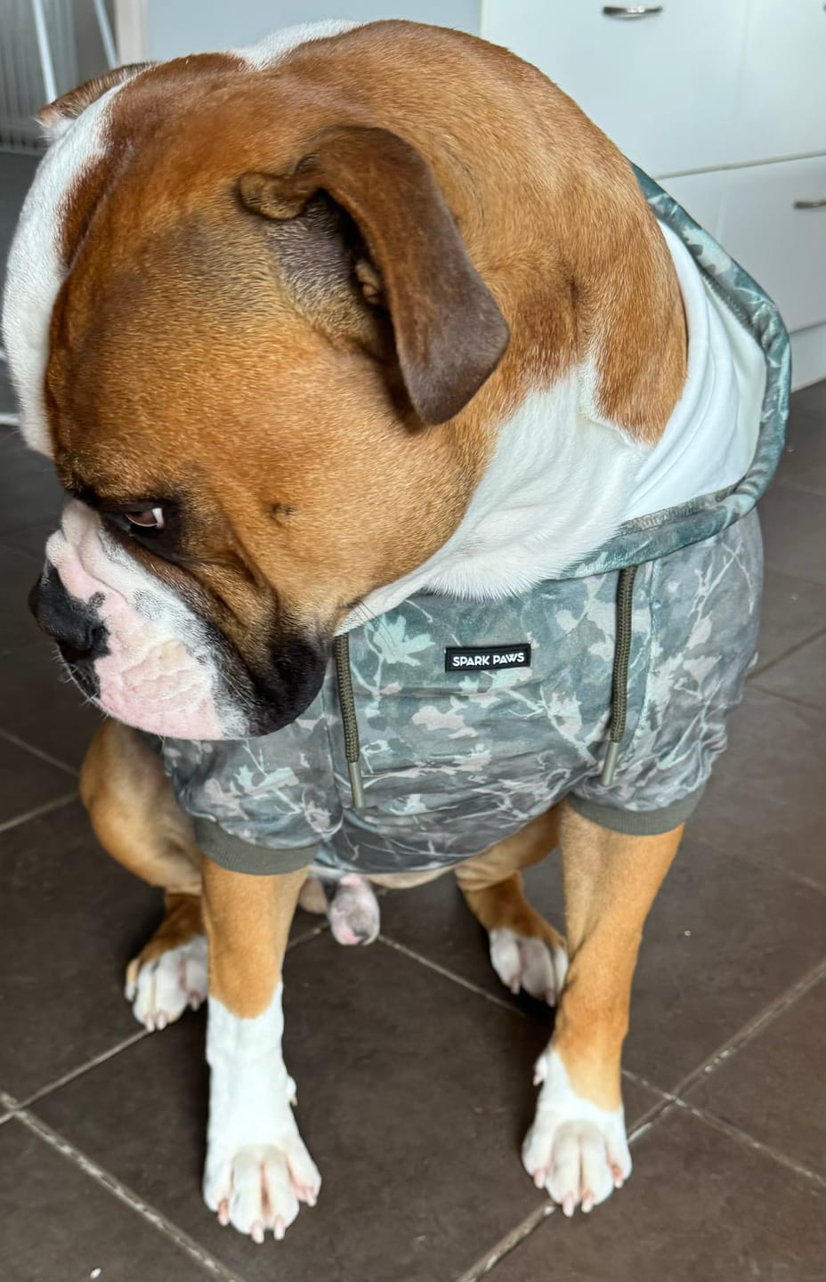 Customer photo review of Concrete Wood Dog Hoodie - Timber