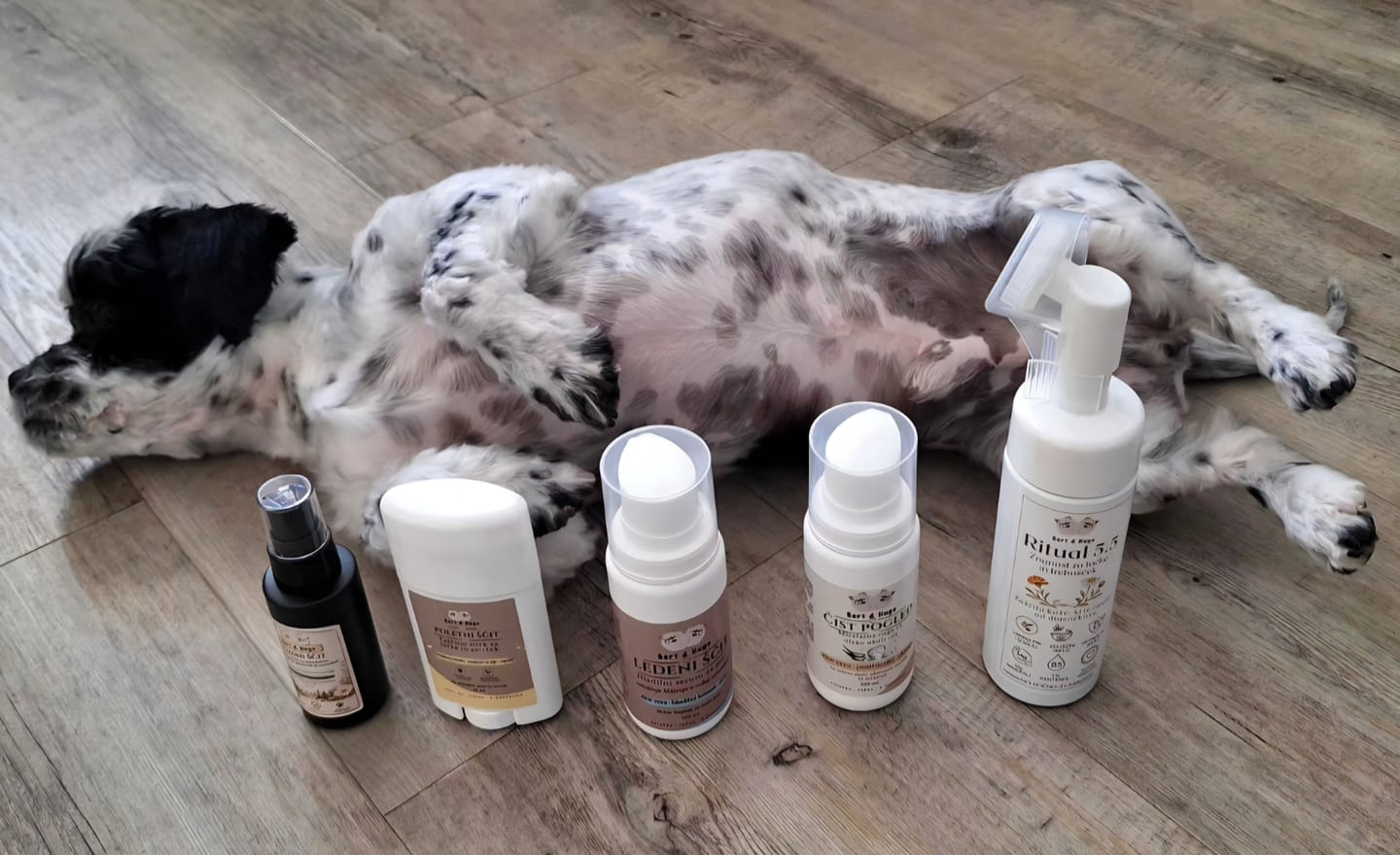 Customer photo review of 🎁 Bert & Hugo Ledeni ščit – Hladilni serum za pse (100ml)