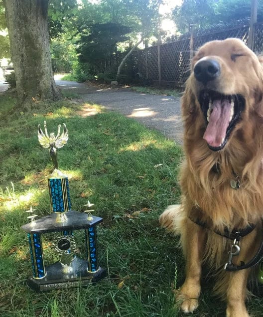 Customer photo review of Pawbooster | Spine & Disc Powder