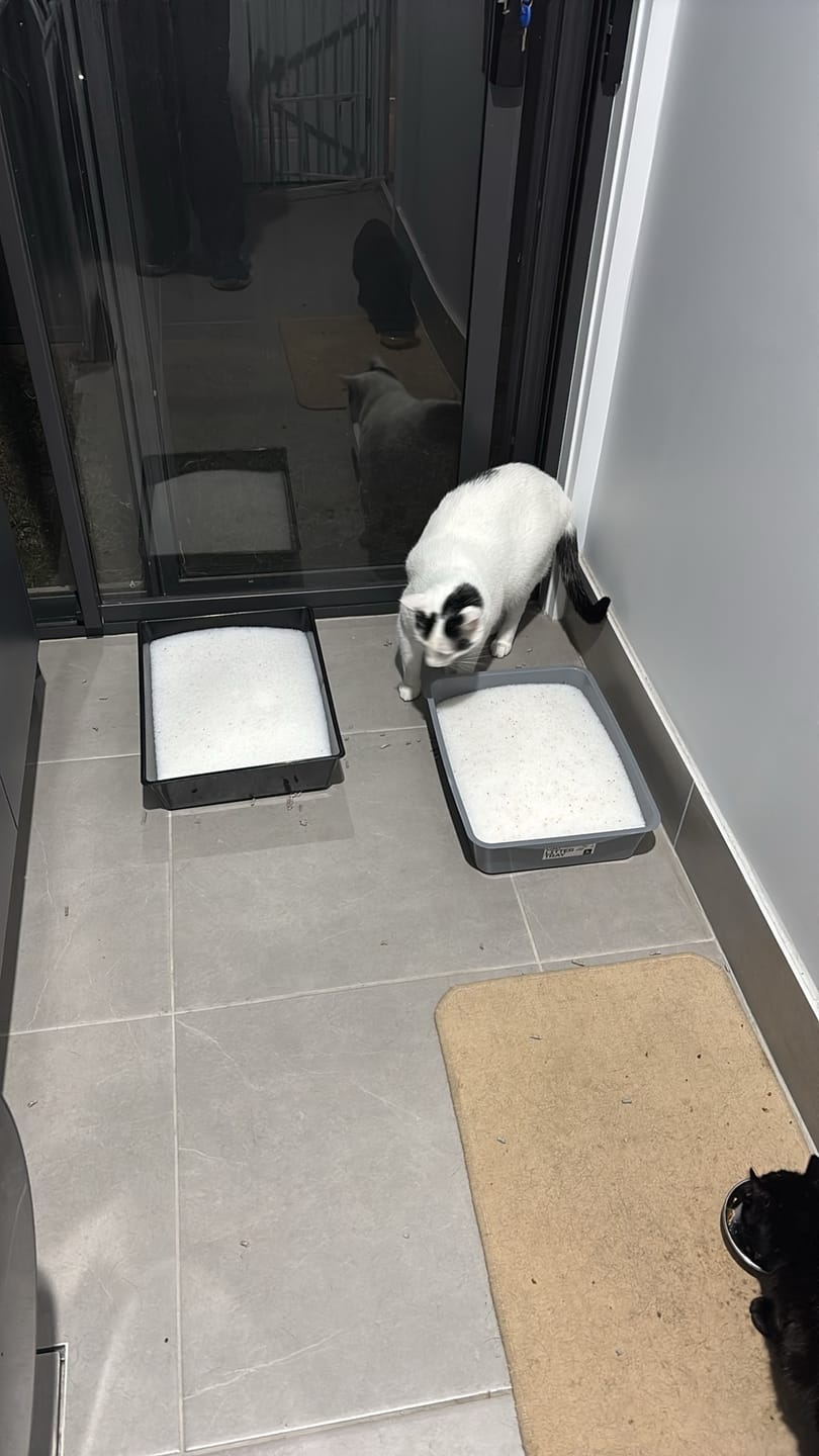 Customer photo review of EXTRABAG