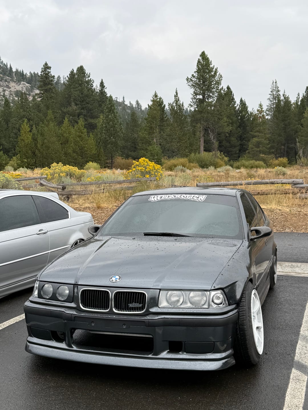 Customer photo review of Glossy Metallic Coal Ash Vinyl Wrap