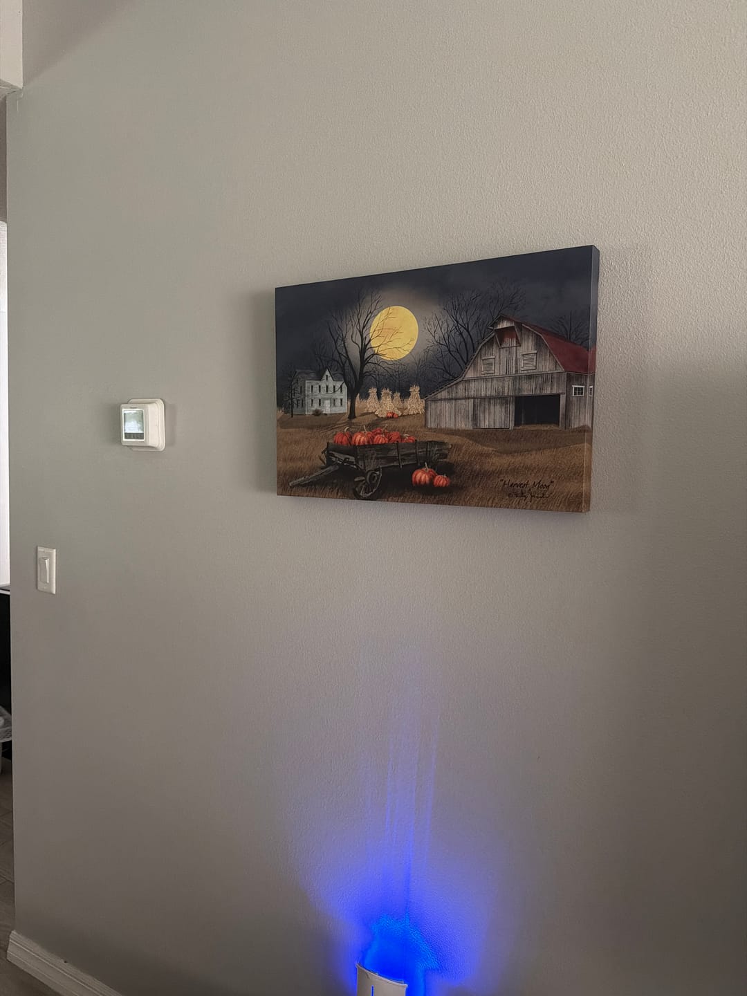 Customer photo review of Harvest Moon