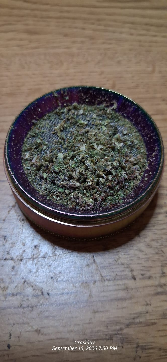 Customer photo review of Black Rainbow Sherbet