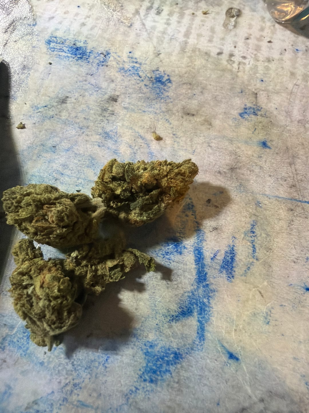 Customer photo review of Gary Payton - Minis - 14 Grams - Hybrid