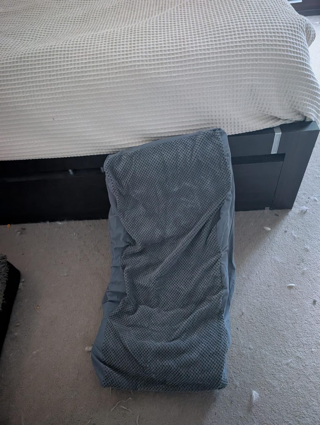 Customer photo review of Foam Pet Steps for Small & Large Dogs