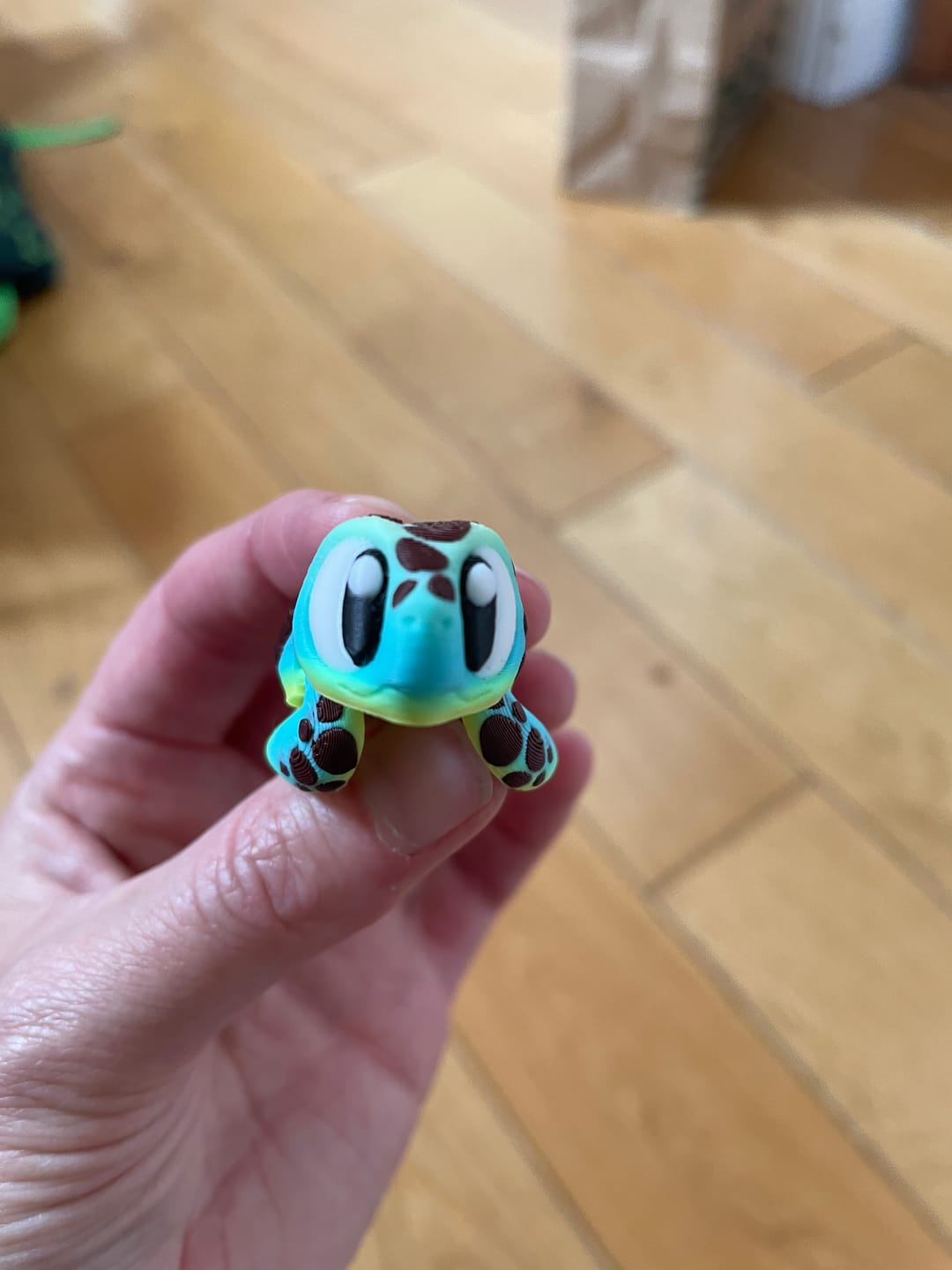 Customer photo review of Baby Sea Turtle