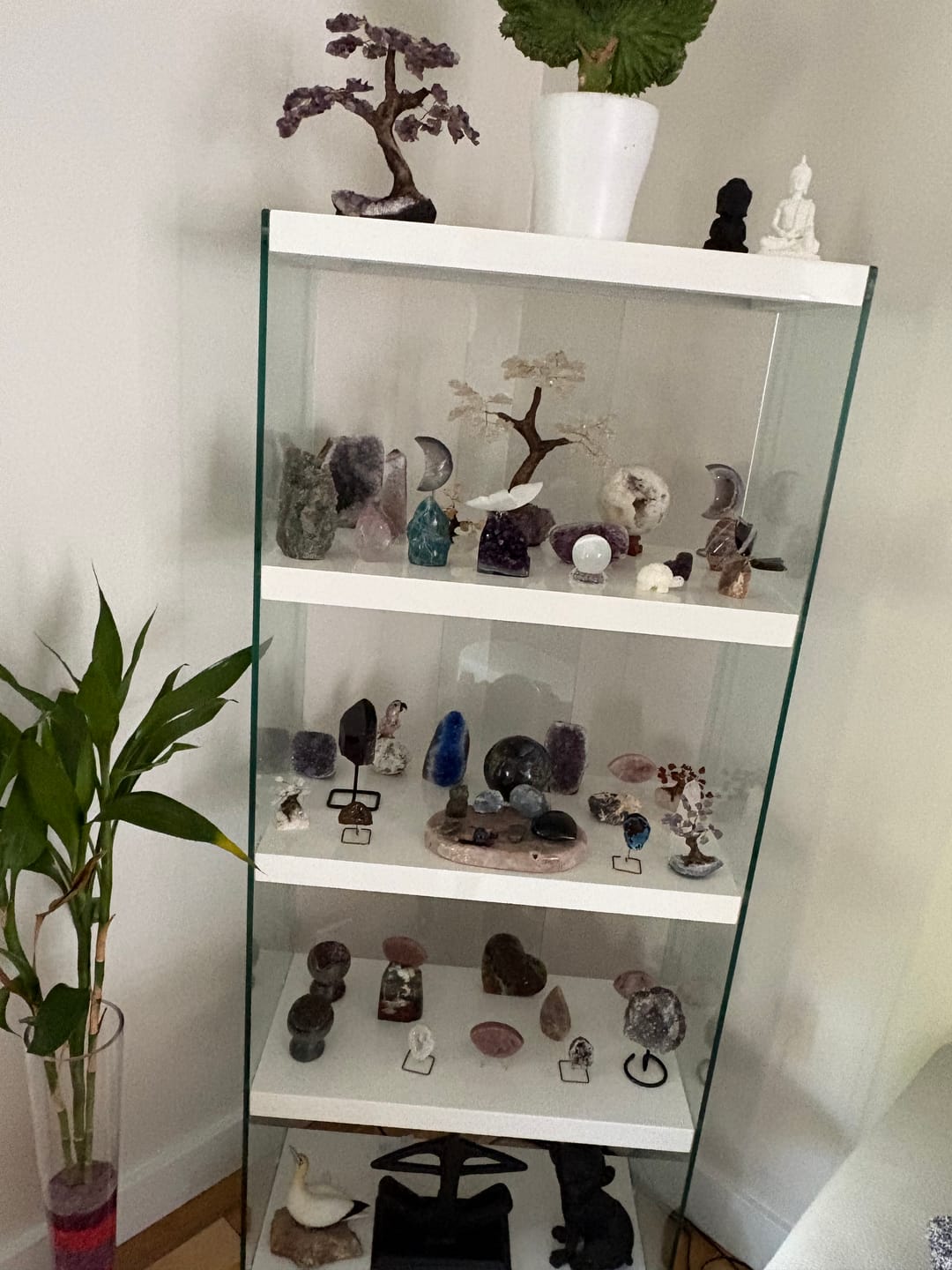 Customer photo review of Bookcase 60"H Glossy White Tempered Glass 5-Tier