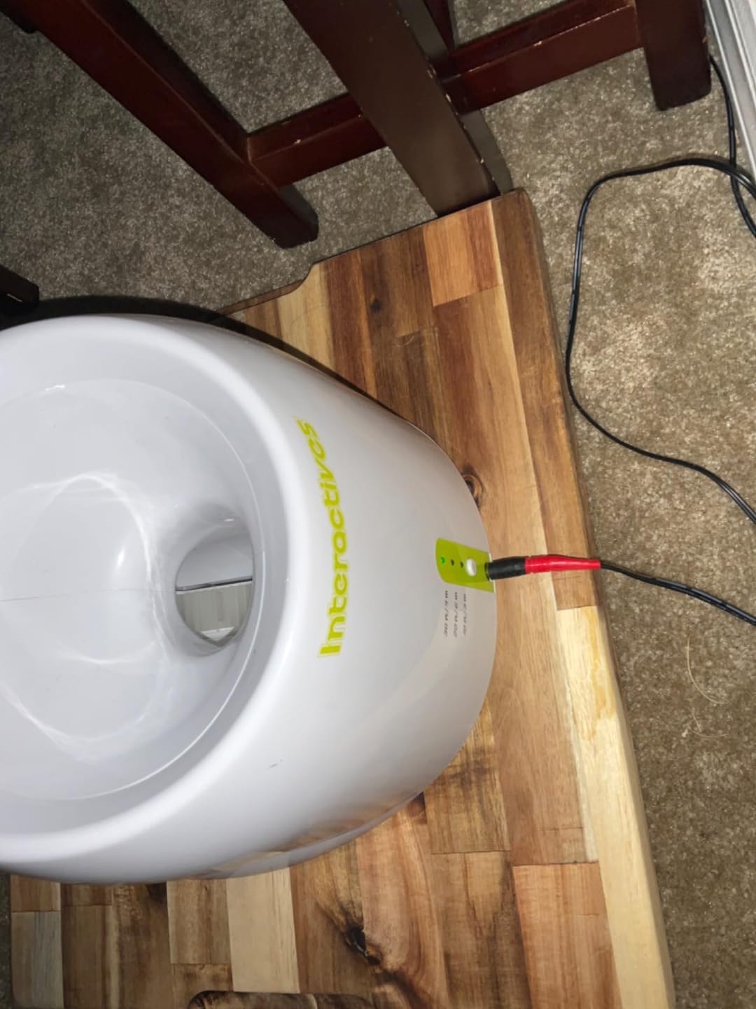 Customer photo review of Muffly™ Automatic Dog Ball Launcher Pro