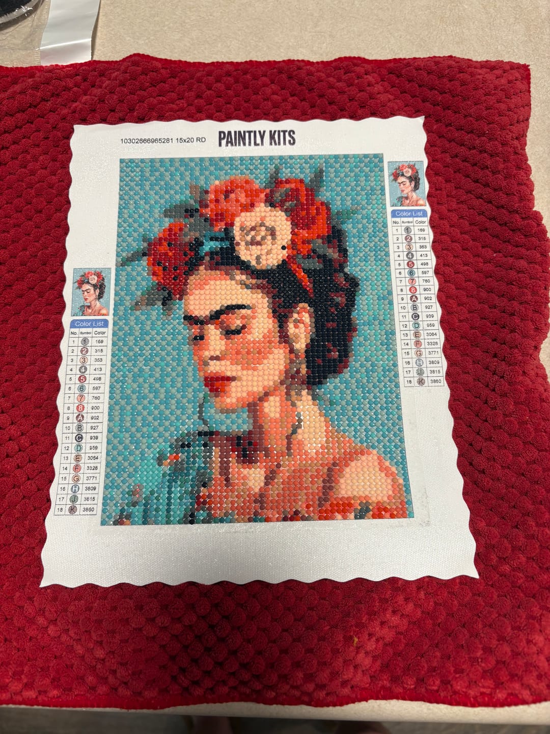 Customer photo review of Frida Kahlo (Diamond Painting)