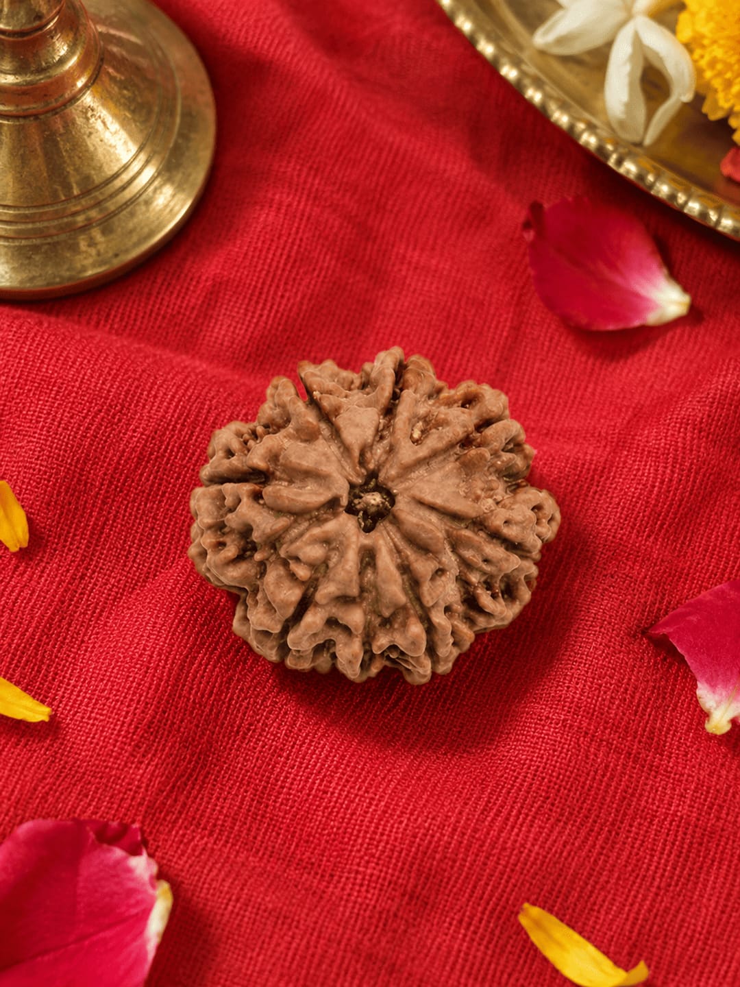 Customer photo review of 8 Mukhi Rudraksha (Nepali)