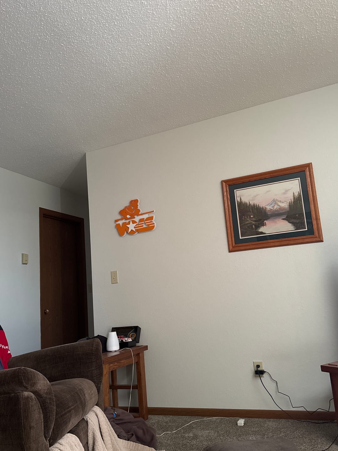 Customer photo review of Tennessee Volunteers  VOLS 1983 VAULT "Davy Crockett- Rifleman"  3D Vintage Metal Wall Art