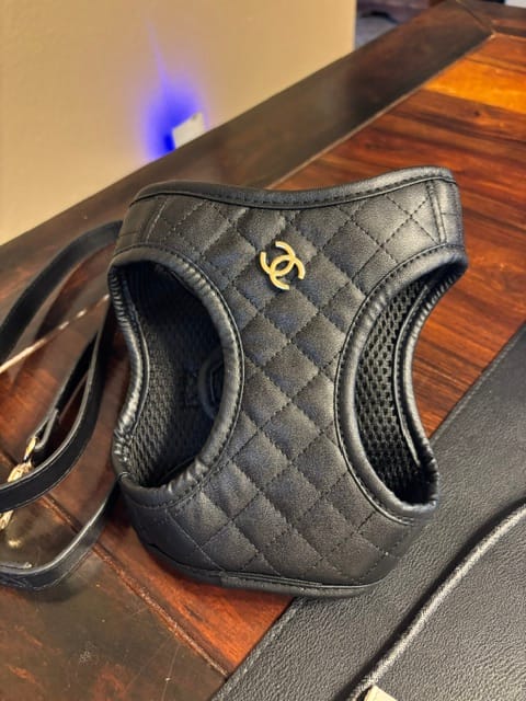 Customer photo review of CC BLACK STEP- HARNESS WITH LEASH SET