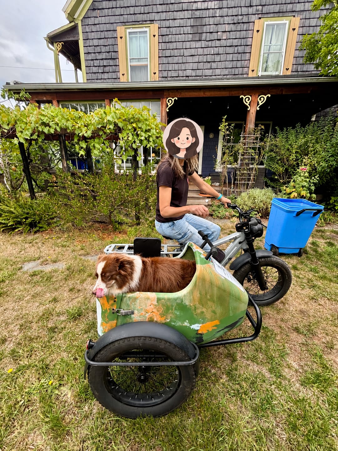 Customer photo review of KODA