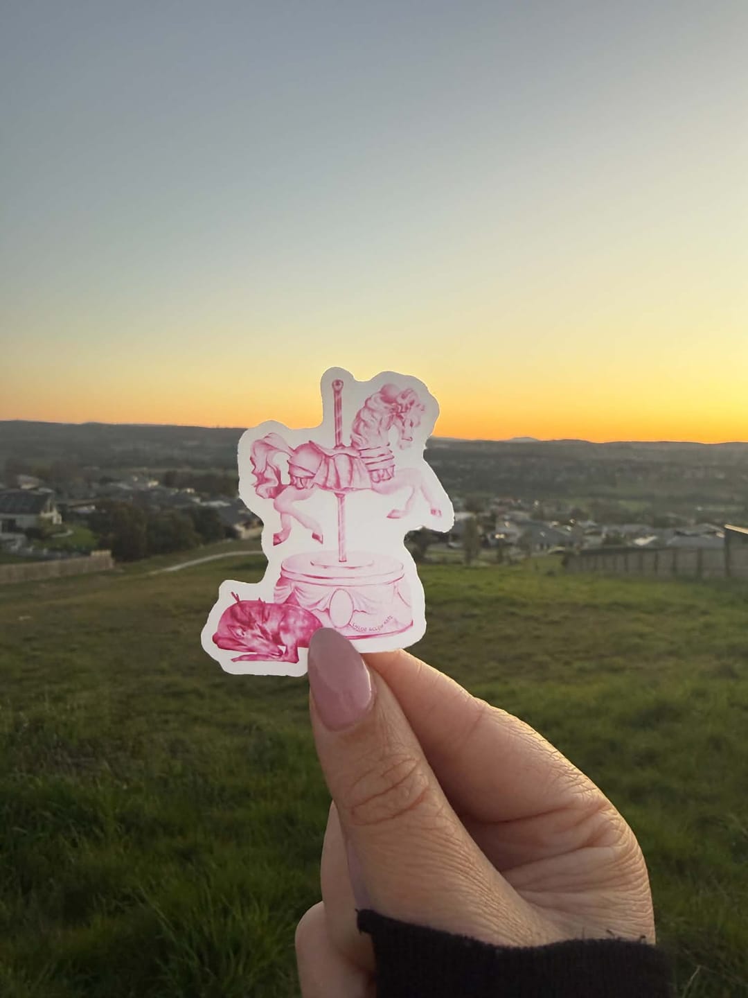 Customer photo review of Create Premium Custom Stickers
