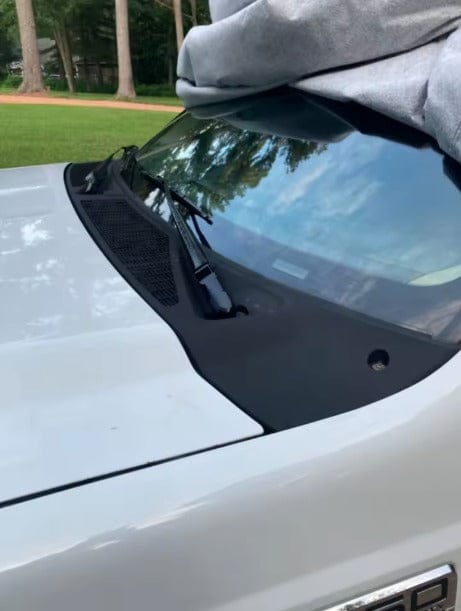 Customer photo review of Renovador de plásticos negros