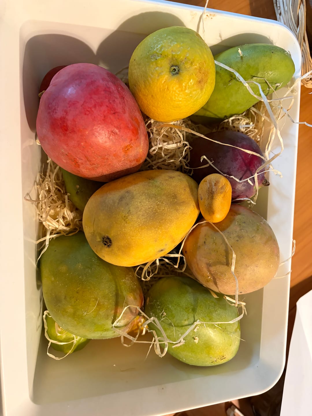 Customer photo review of Mango Mix von Juan Retterpreis %