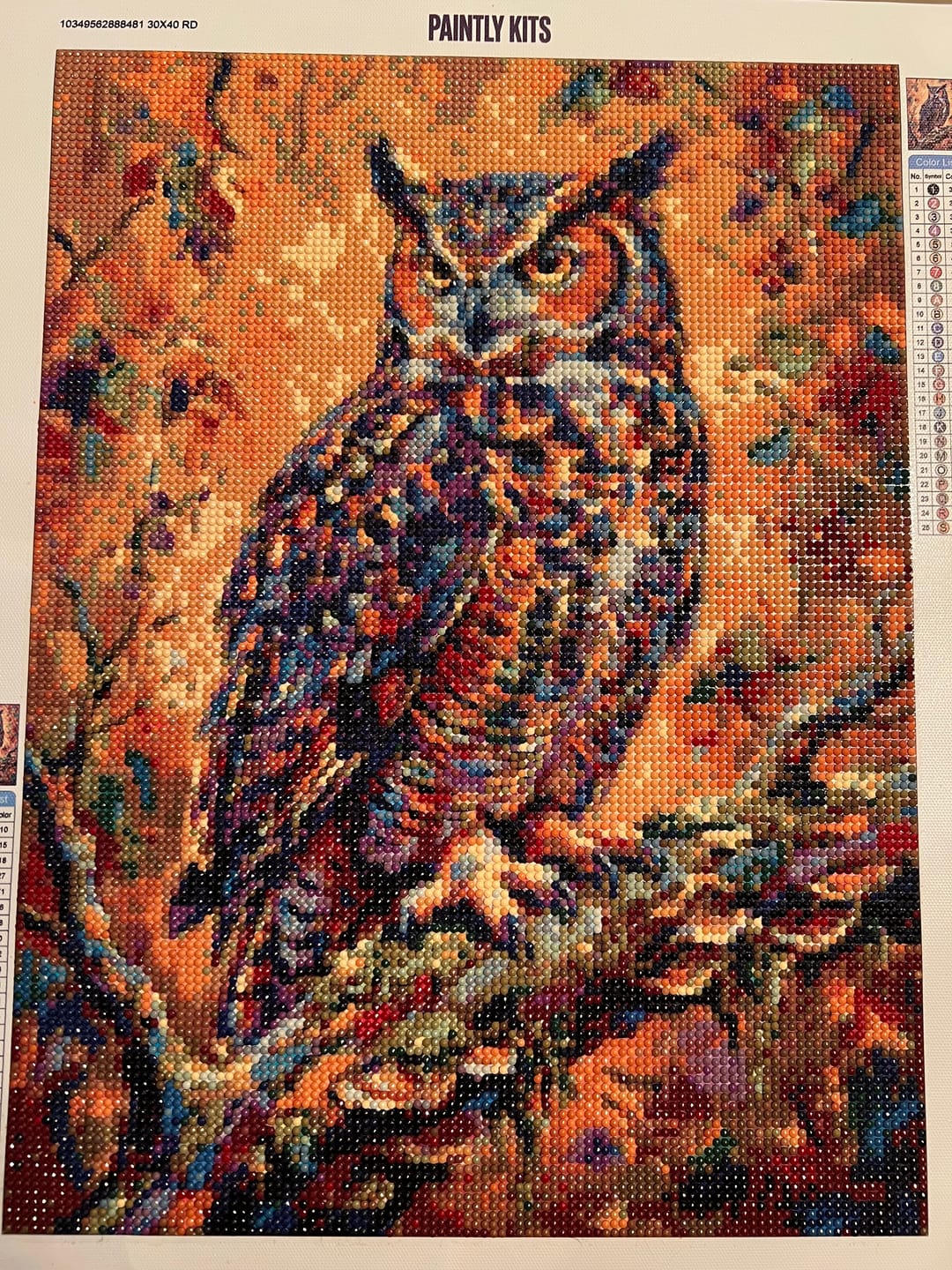 Customer photo review of Autumn Forest Owl (Diamond Painting)