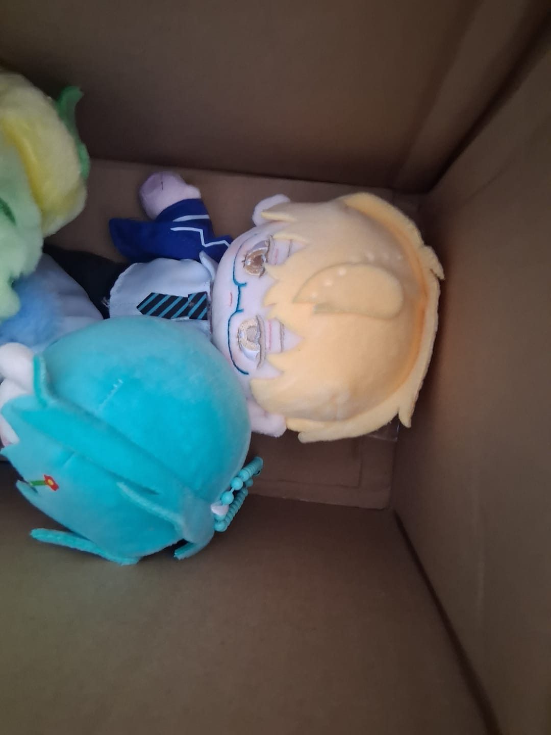 Customer photo review of Alien Stage AAHS Series Chuichui Style Plush Toy Blind Box