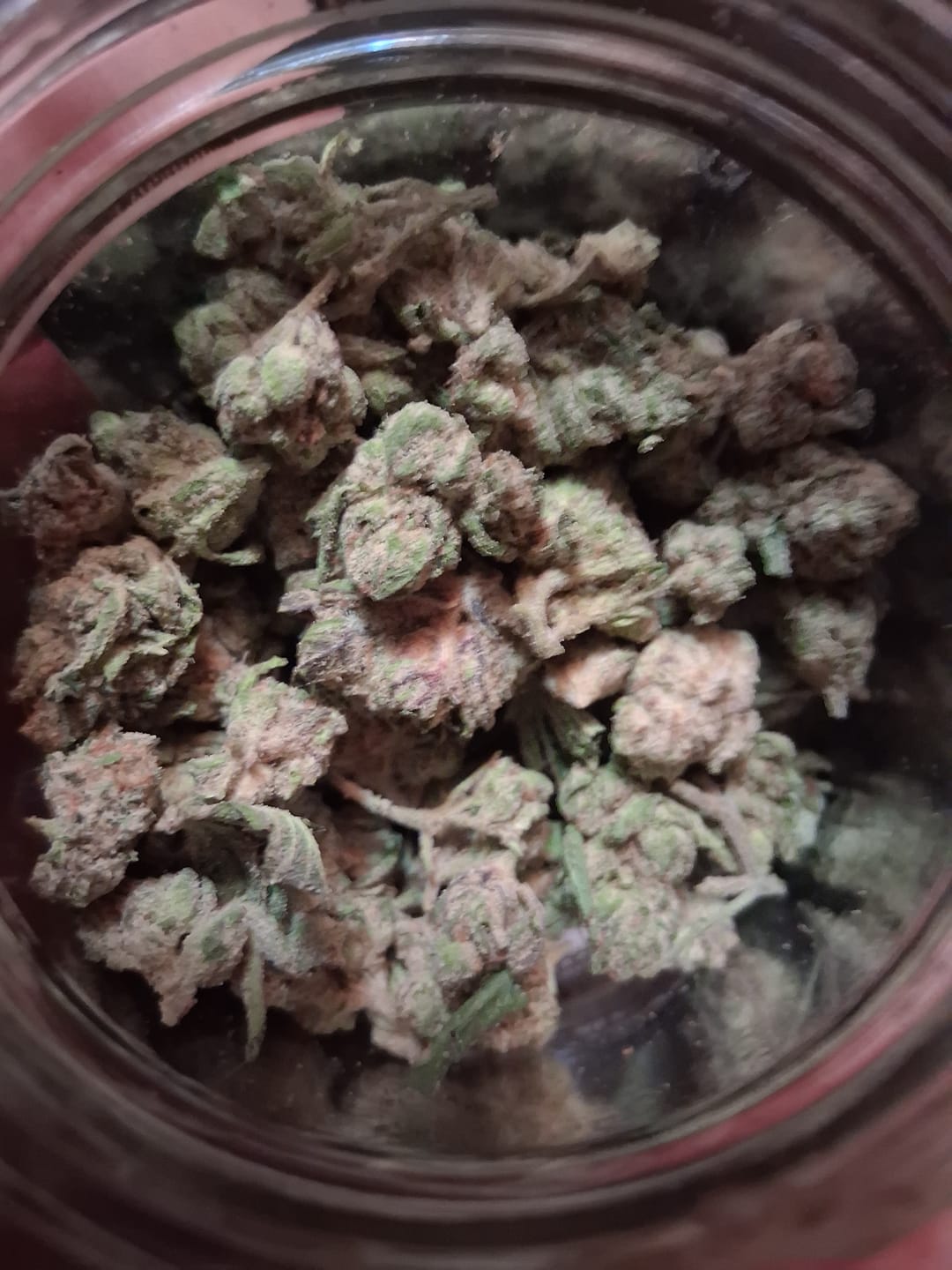 Customer photo review of Bulk THCA Smalls