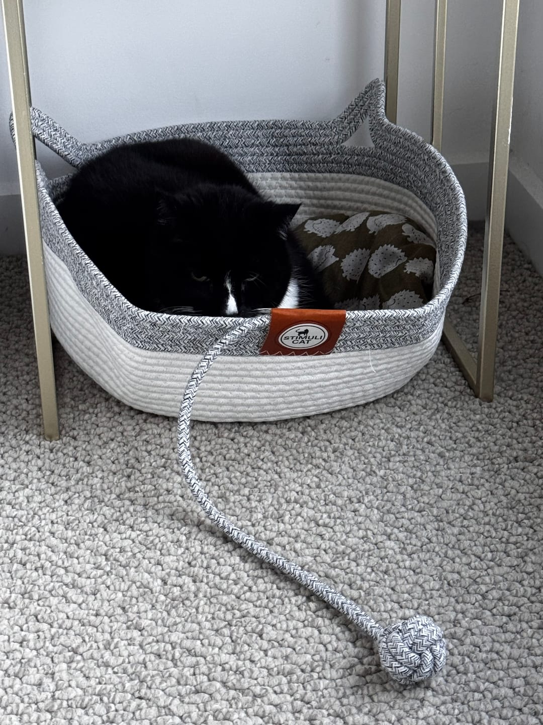 Customer photo review of Instinct Basket | Meet the first research-backed natural territory for indoor cats