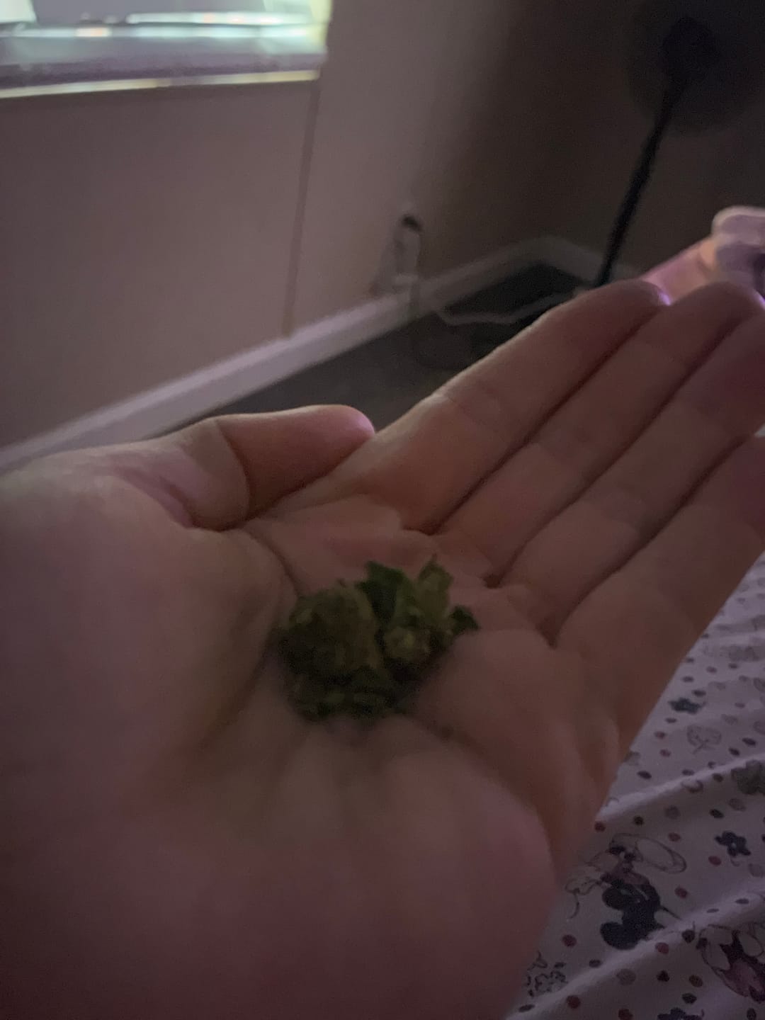 Customer photo review of THCA Queen