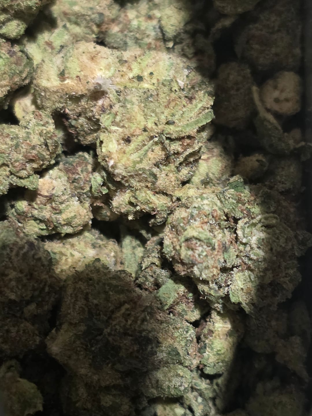 Customer photo review of Champelli THCA Flower