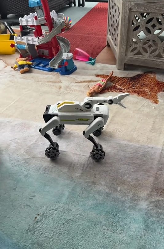 Customer photo review of 3-in-1 Interactive Robot Dog with Voice Control, Remote & Programmable Tricks