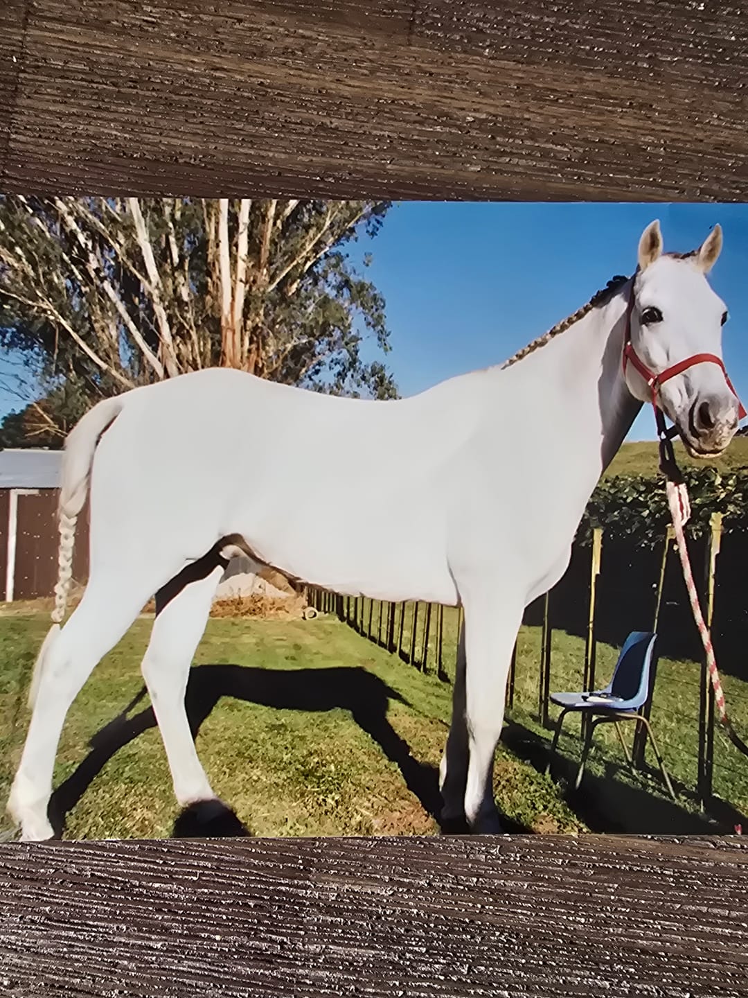 Customer photo review of Harvest Grains DIY Smart-Feed