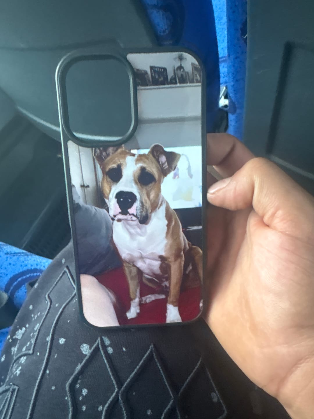 Customer photo review of MyMemories - Cover personalizzata