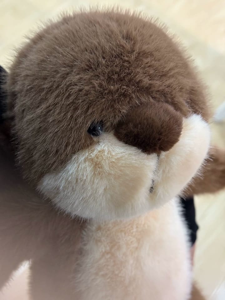 Customer photo review of Obi Otter
