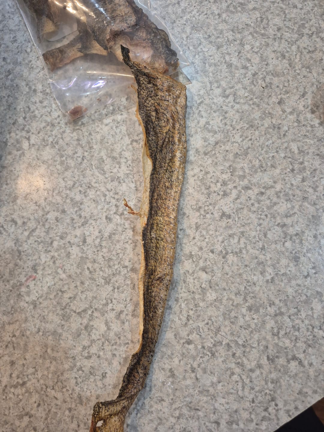 Customer photo review of Walleye Skins